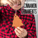 Cinnamon Ornaments - Crafts by Amanda