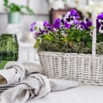 white wicker basket, purple pansies