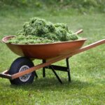 How to Use Grass Clippings—From Mulching to Composting