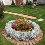 dusty miller landscaping in frontyard