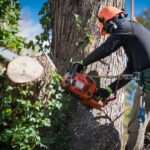 tree lopping service