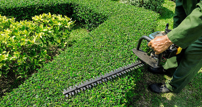 Commercial Hedge Trimming: Enhancing Your Business’s Outdoor Appeal