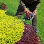 Commercial Hedge Trimming: Enhancing Your Business’s Outdoor Appeal