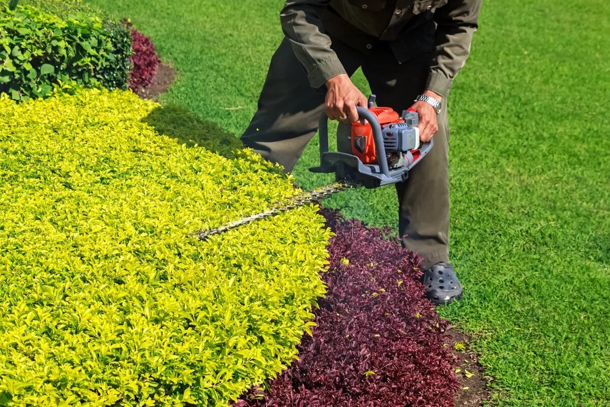 Commercial Hedge Trimming: Enhancing Your Business’s Outdoor Appeal