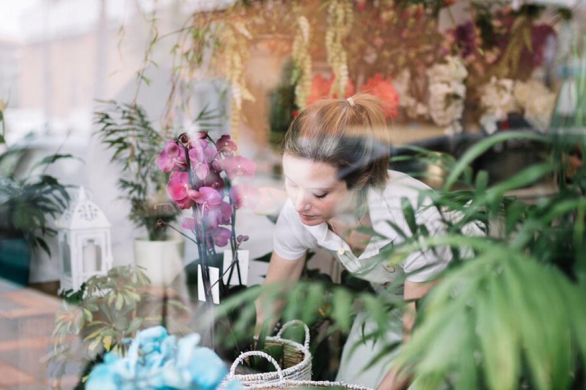 flower delivery Balgowlah Heights
