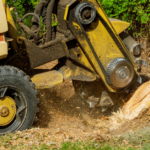 stump removal