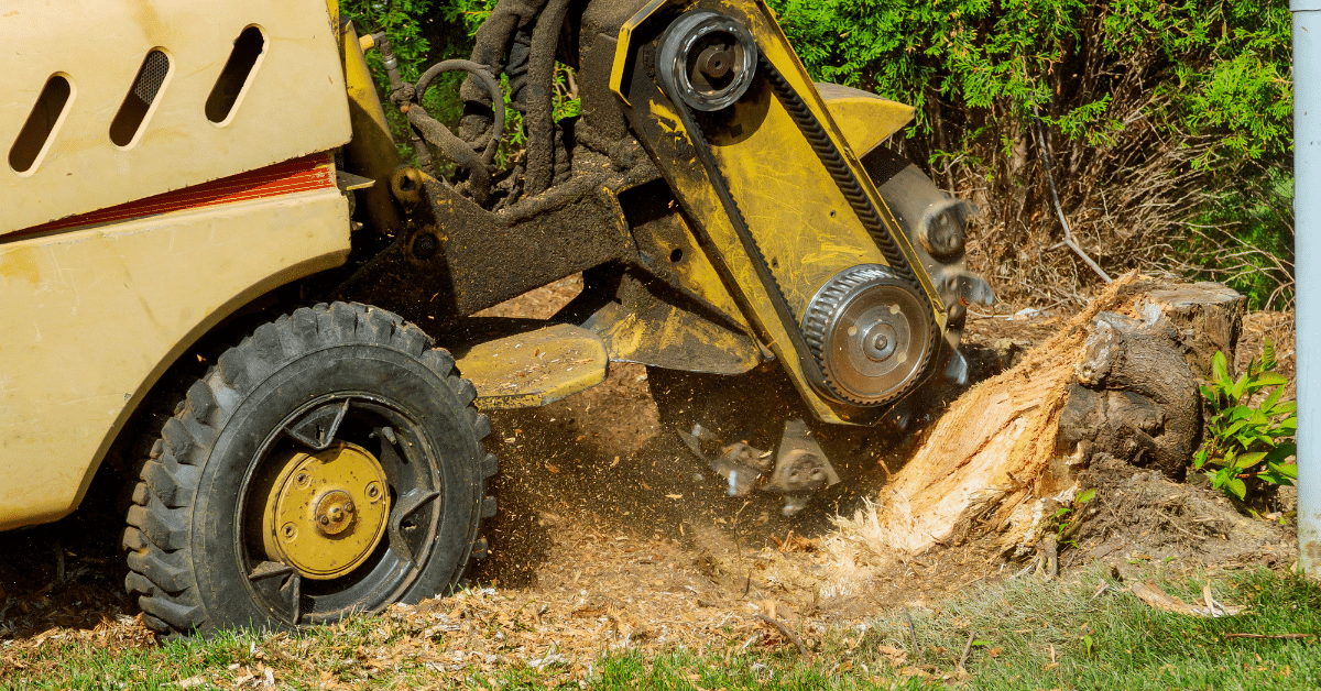 stump removal