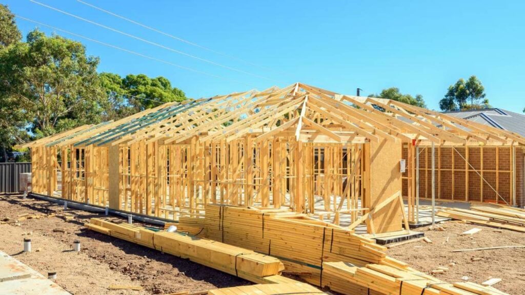 What Is the Most Effective Termite Treatment in Sydney for Old Timber Homes?

