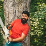 tree services Wahroonga