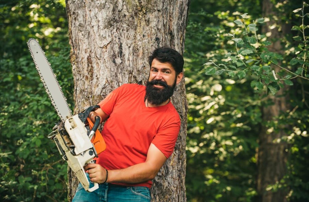 tree services Wahroonga