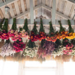 Florist Manly: Flowers That Survive Salt, Sun and Sea Breeze